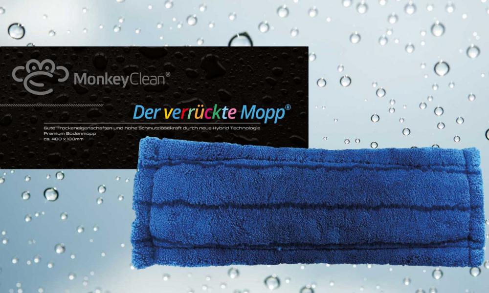 Der verrückte Mopp