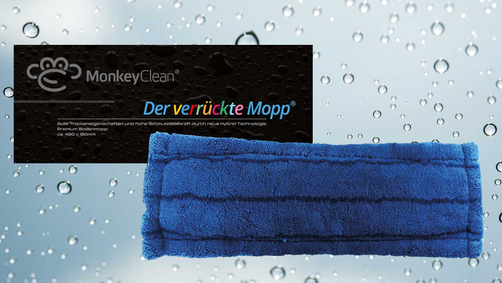 Der verrückte Mopp